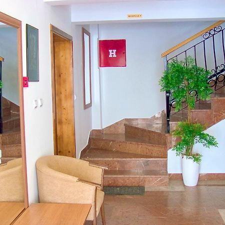 Guest House Villa Iva Budva Ngoại thất bức ảnh